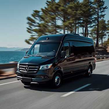Minibus (or two Vans)